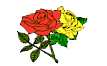 roses
